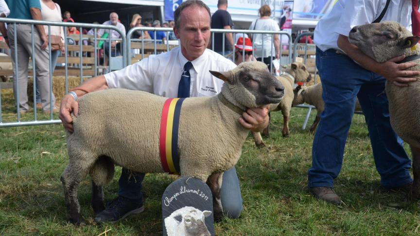 Champion des agneaux Vendéen,  à Philippe Delvaux, Blégny.