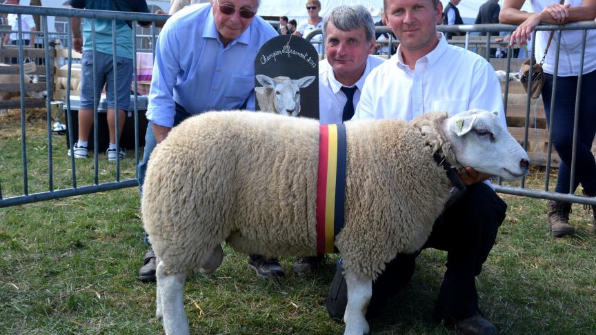 Le champion des agneaux Texel français à V. Simon.