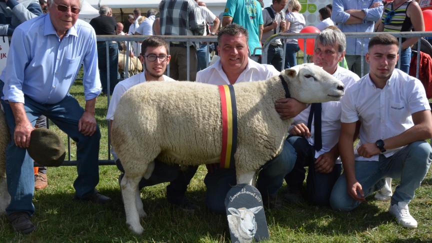 Le champion des antenais Texel français à H. Camboni.