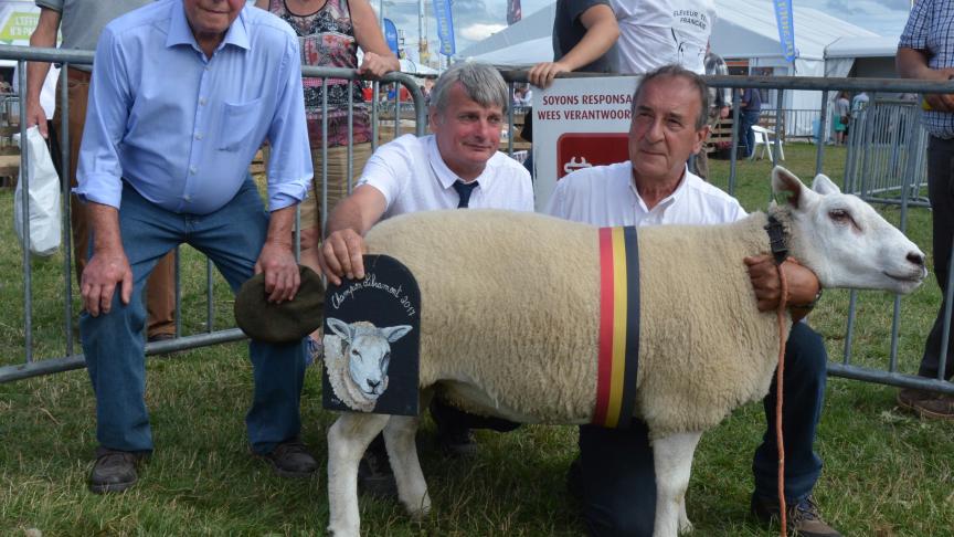 La championne des antenaises Texel français à R. Tireur.