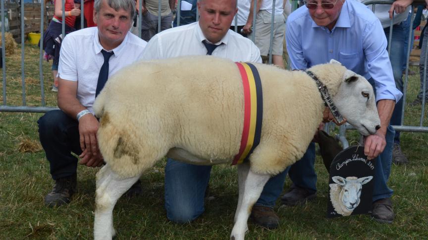 La championne des brebis Texel français à D. Dardenne.