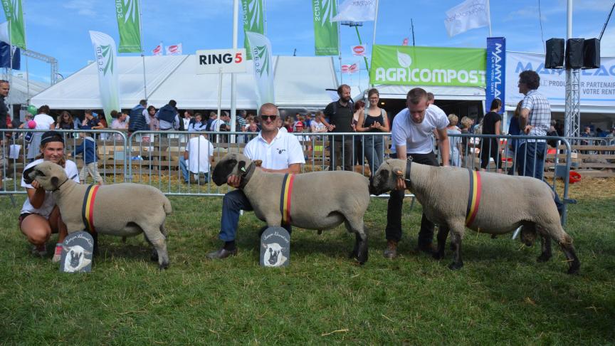 Les champions Hampshire Down: agneau à C. Seys, antenais à E. Sprumont et bélier à Th. Vincent.