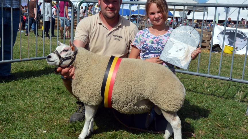 Le champion des agneaux Texel  à C. Seys.