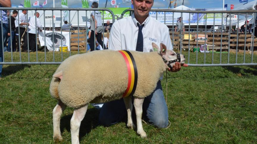 La championne des agnelles Texel à B. Destexhe.