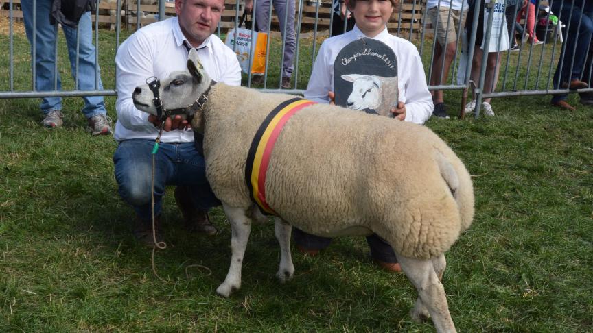 La championne des brebis Texel à A. Roose.