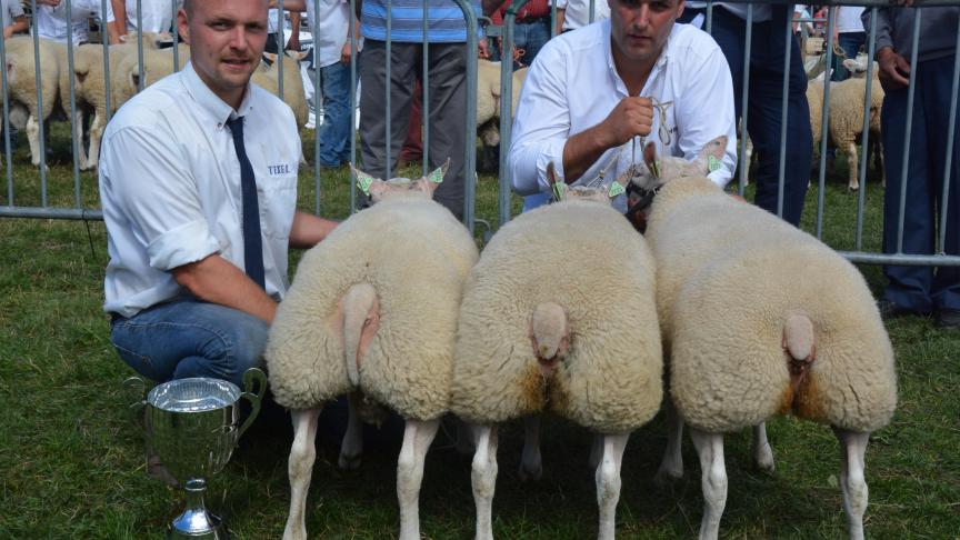 Le meilleur lot raceur Texel  à B. Destexhe.