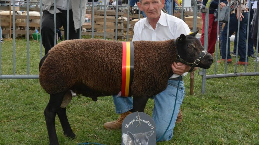 Le champion des antenais  Texel bleu à J. Bertrand.