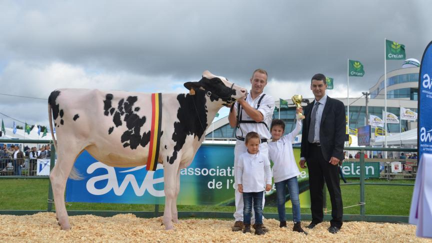 Majuscule de l’Herbagère (High Octane x Windbrook), championne des génisses, à l’ Herbagère-Moureaux, de Flavion.