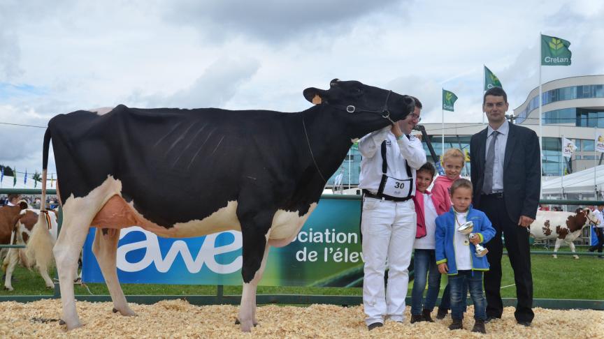 Jeannette ET de l’ Herbagère (Lauthority x Jasper), championne des jeunes vaches, à l’Herbagère-Moureaux, Flavion.