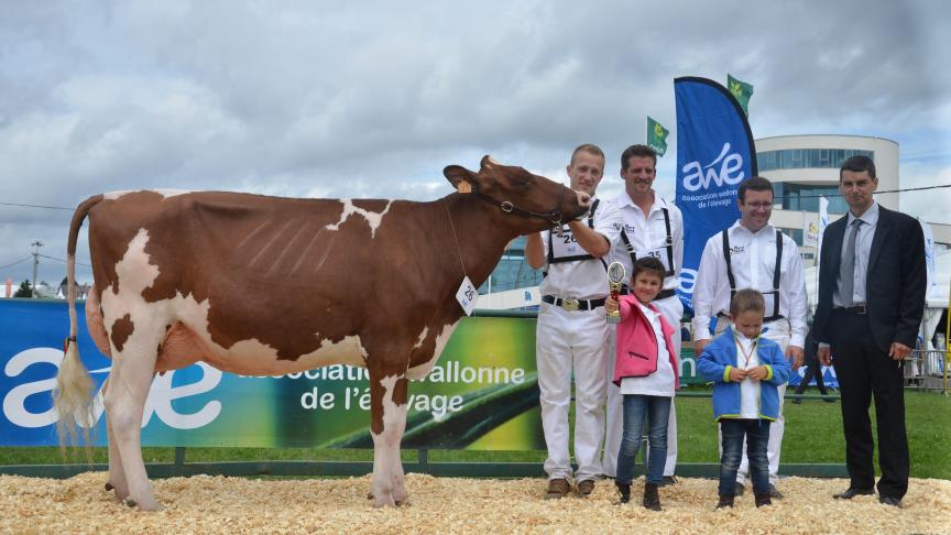 Joliefailue de l’Herbagère (Ladd P x Savard), meilleure Red Holstein et mention dans le championnat des jeunes vaches, à L’Herbagère-Moureaux, Flavion.