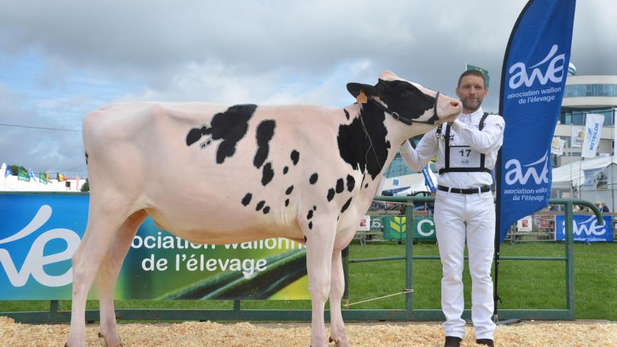 HHH Océanie de Haumont Hill (Ocean PP x Let It Snow), championne réserve des génisses, à Jean-Louis Neuville, Lierneux.