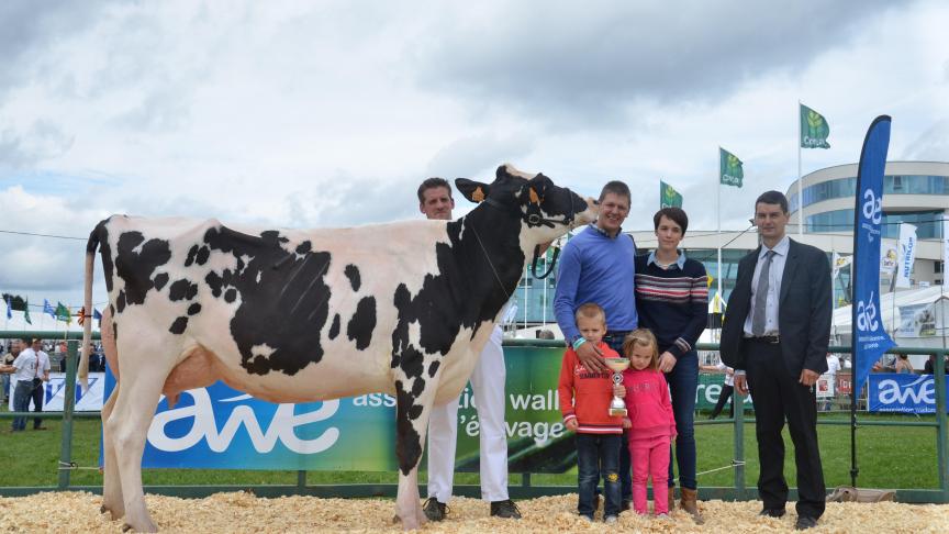 Emilie de Maredret (Aftershock x Billet), meilleur pis des vaches adultes, à Quentin Bocart, Sosoye.