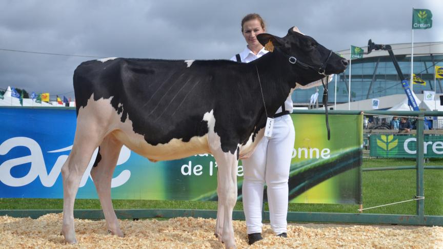 Fleurette de la Garde-Dieu (Superbo x titanic), mention des génisses, à Luc Piron, de Charneux.