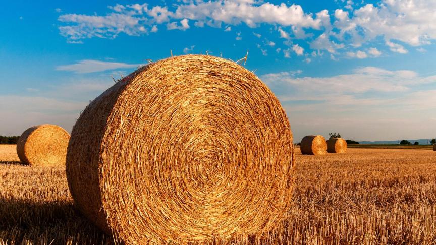 straw-bales-726976_1920