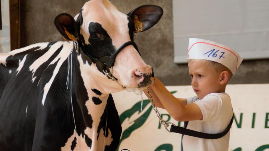 William Bocart remporte le show junior grâce à son son caractère et son regard vis-à-vis du juge.