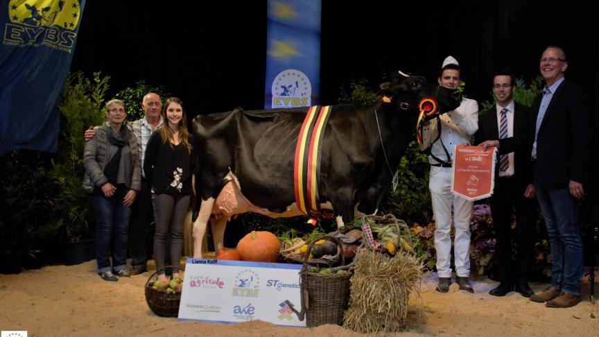 Extra du loup, championne des vaches adultes et grande championne du jour, à J. et S. Creppe.