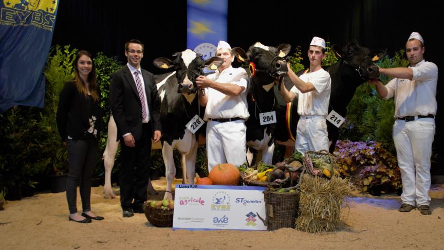De droite à gauche, Rihana de la Garde -Dieu, à Luc Piron, 5306, de Black Cow sprl, et LH Georgina, du centre provincial liégeois, respectivement championne, réserve et mention chez les jeunes vaches.