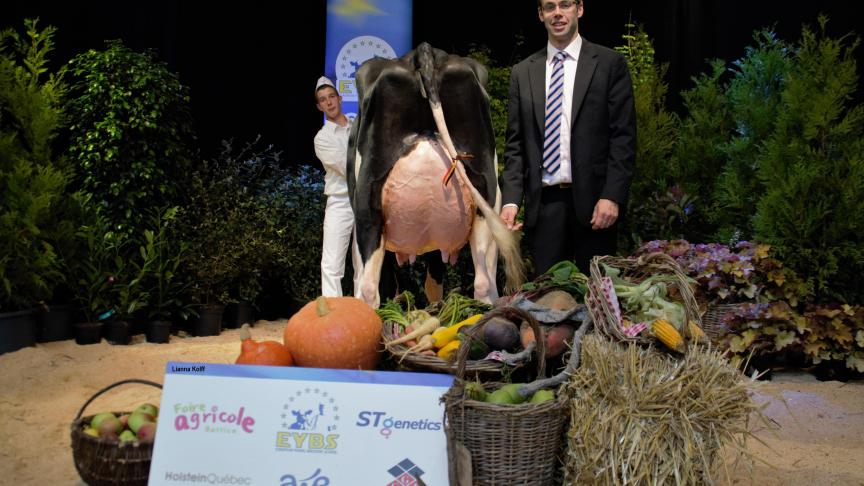 LH Joulia (altaCalber), au Centre Provincial Liégeois, décroche les titres de mention et de Meilleur pis des vaches adultes.