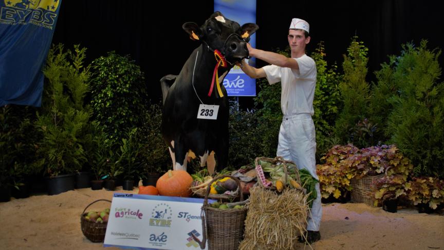 7226 (Goldsun), 1
er
prix des vaches de 4 à 10 ans, à Black Cow sprl, Basse Bodeux.