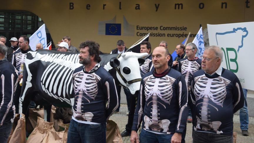 Face aux crises dans la filière «
lait
», les éleveurs de l’EMB ont l’impression de ne plus avoir que la peau sur les os et l’ont fait savoir devant les bâtiments de la Commission européenne, au cœur de Bruxelles.