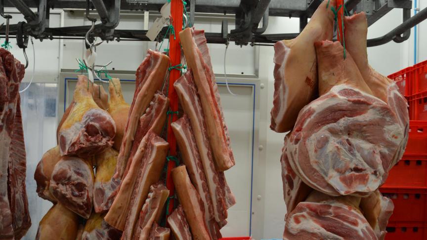 La qualité de la viande de porc figurera au  programme de  cette 17 e Journée des productions porcines et  avicoles.