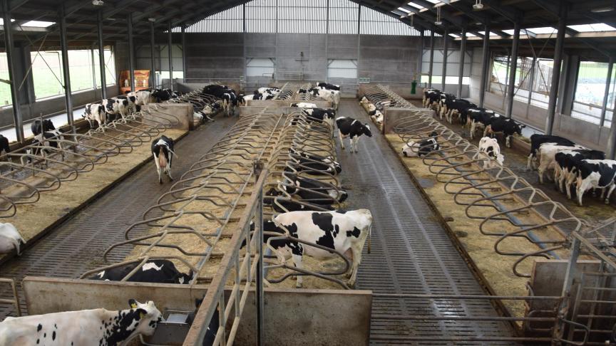 En moyenne, les producteurs laitiers ont pu entreprendre 13 initiatives pour améliorer la durabilité cette année, contre 9 en 2014.