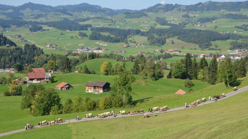 La transhumance débute par une lente descente vers le village de Schüpfheim, dans le décor des montagnes et villages suisses.