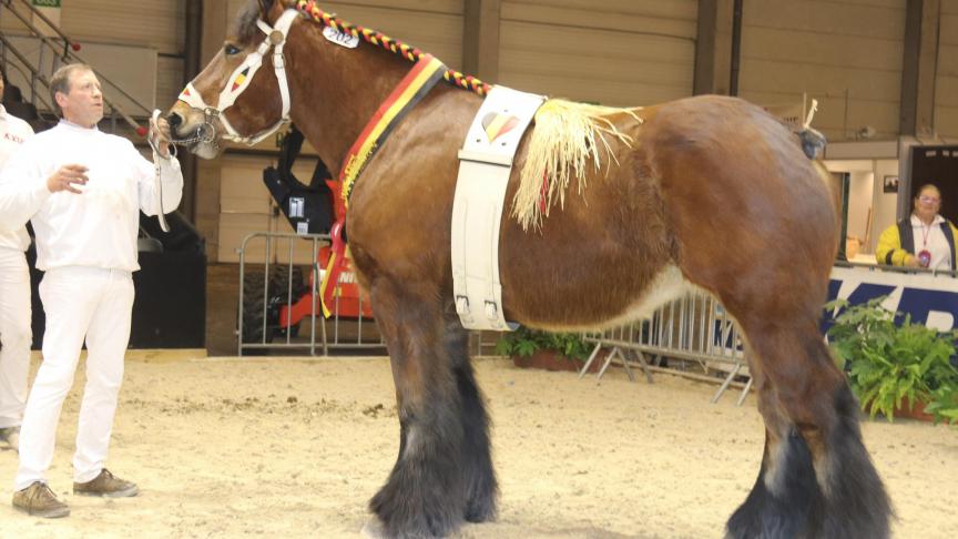 Qui succèdera à Noëlla van het Keiberghof, championne en 2017, ce dimanche 10 décembre au palais 1?