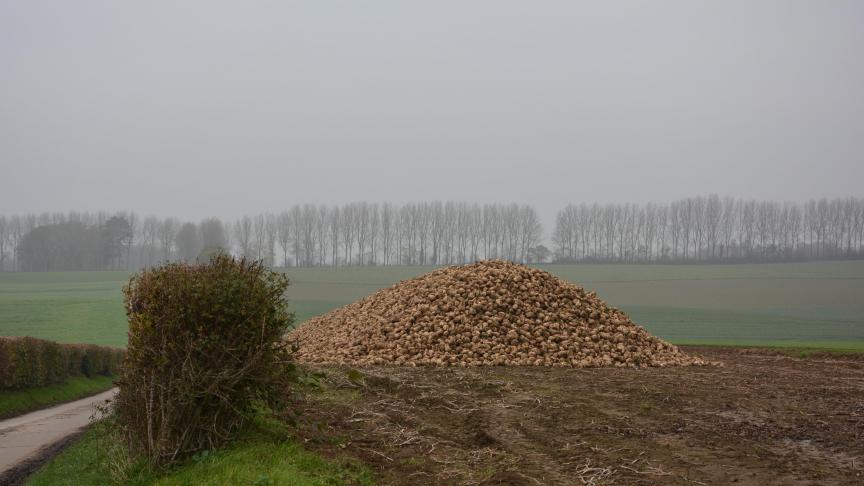 Les fabricants de sucre européens affirment que la crise actuelle largement due aux subventions et dumping pratiqués par l’Inde, la Thaïlande et le Pakistan.