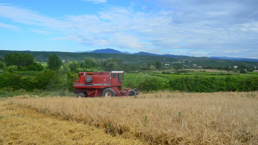 Pour répondre à la demande, comment changer d’échelle sans renier les principes fondateurs de l’agriculture biologique ? La question se pose aussi chez nos voisins français.