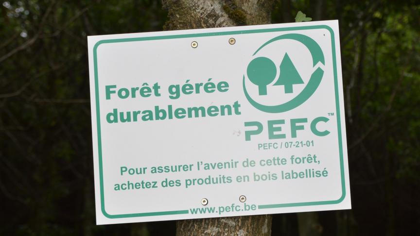 Dans le domaine de la certification forestière, Pefc fait figure de  leader mondial.