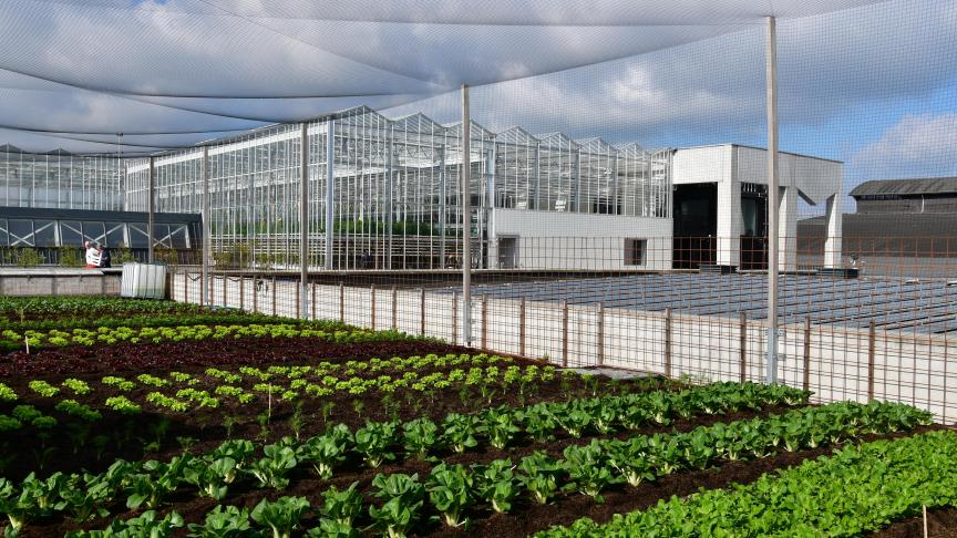 La ferme urbaine établie sur les toits à Bruxelles vise le zéro rejet et n’utilise ni antibiotiques ni pesticides.