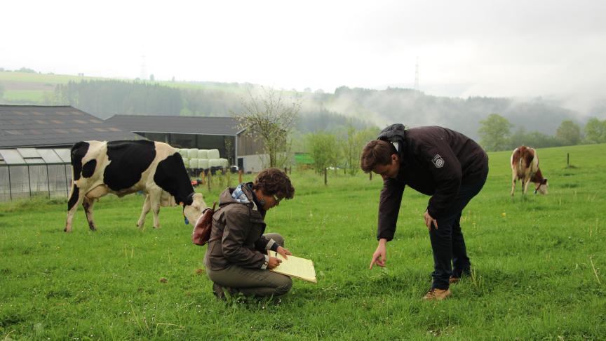 La spécialisation bio de la HEPN plonge les étudiants dans le bain. Forts de leur cursus  et accompagnés de leurs profs, ils doivent accompagner un agriculteur  dans sa conversion en bio.