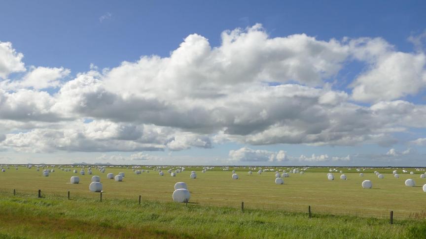 Les surfaces propices à la culture et aux landes pâturables ne couvrent qu’un quart environ du territoire islandais.