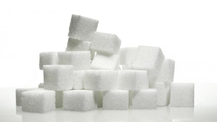 À 372 €/t en février dernier, le prix moyen communautaire du sucre blanc est actuellement à son plus bas niveau.