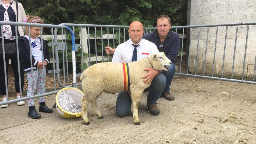 Champion des agneaux Texel Français à Dardenne Damien.