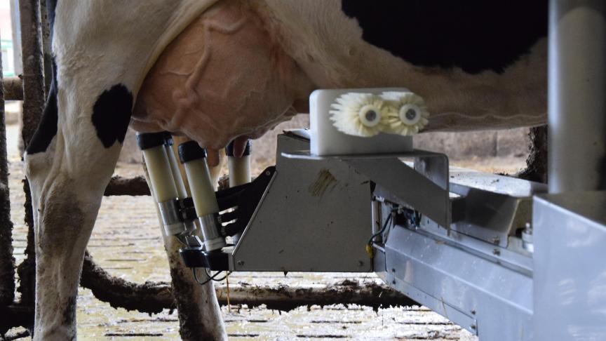 Le robot de traite, un outil performant qui apporte  du bien-être à l’animal et à l’éleveur.