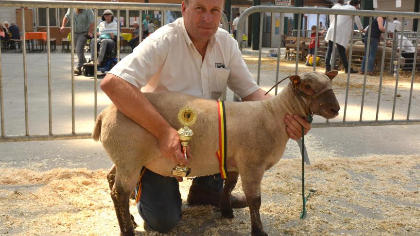 Le champion des agneaux Vendéen, à M. Remy.