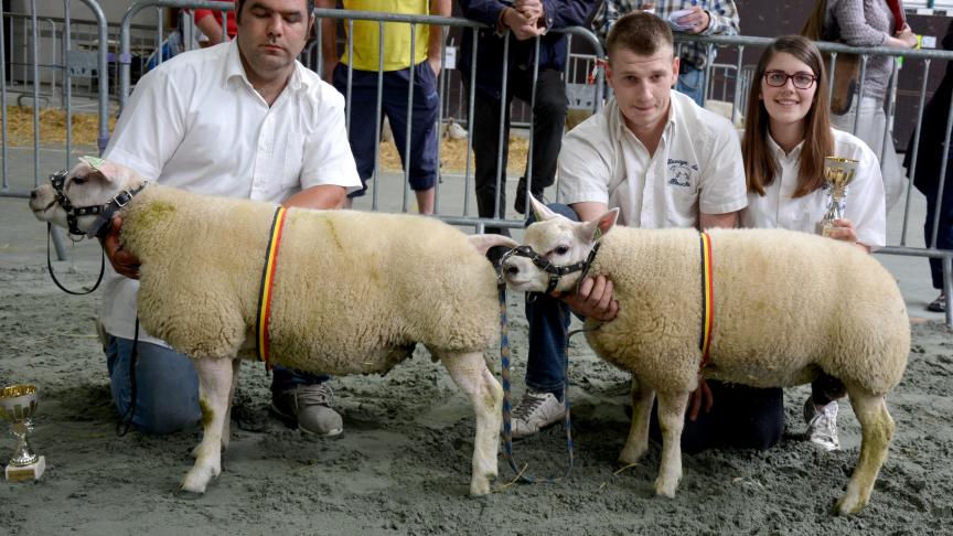 Les champions des agneaux simples Texel à D. Joret et D. Malbecq.