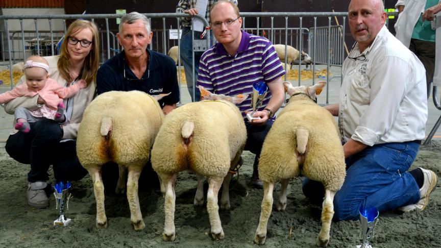 Les championnes des agnelles simples Texel à Daniel et Laurent Miroir et à Philippe Clément.