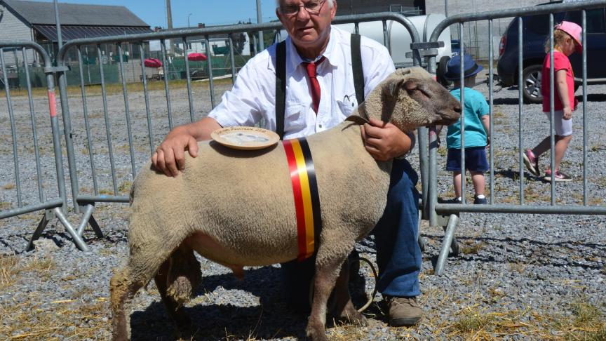 Le champion des agneaux Vendéen à Gh. Pierre.
