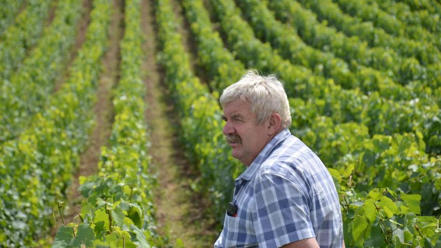 J-C Louis positive: «le prestataire a la passion du cheval, le vigneron de sa vigne et tous deux arrivent à en vivre. C’est un bon signal pour assurer du travail au cheval !»