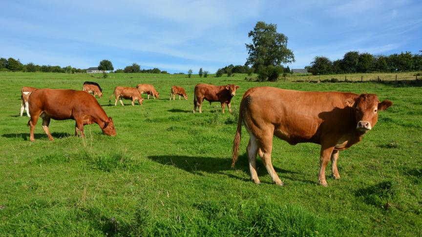 Si une large majorité d’agriculteurs dit vouloir accroître la durabilité de leur exploitation,  ils ne sont qu’un tiers à savoir comment y parvenir.