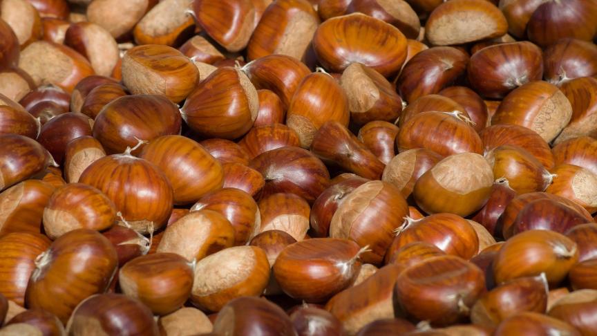 chestnuts-3727959_1920