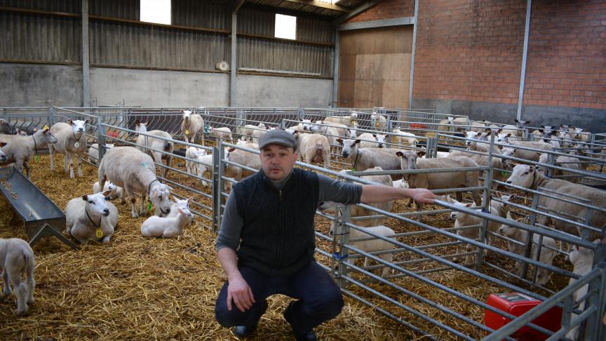 R. Vande Walle abat les agneaux de son propre élevage.