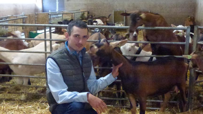 François Lallemant s’est lancé dans l’élevage de chèvres en 2016. Il trait aujourd’hui 424 chèvres et fourni tout le lait à la laiterie.