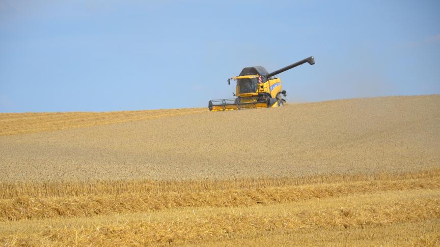 Le Conseil international des céréales a livré le 24 janvier ses premières estimations  concernant la prochaine récolte.