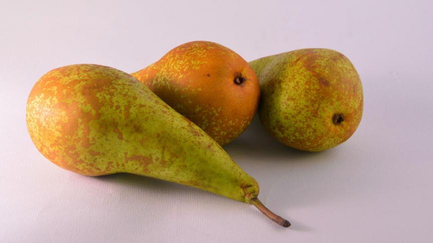 pears-1748175_1920