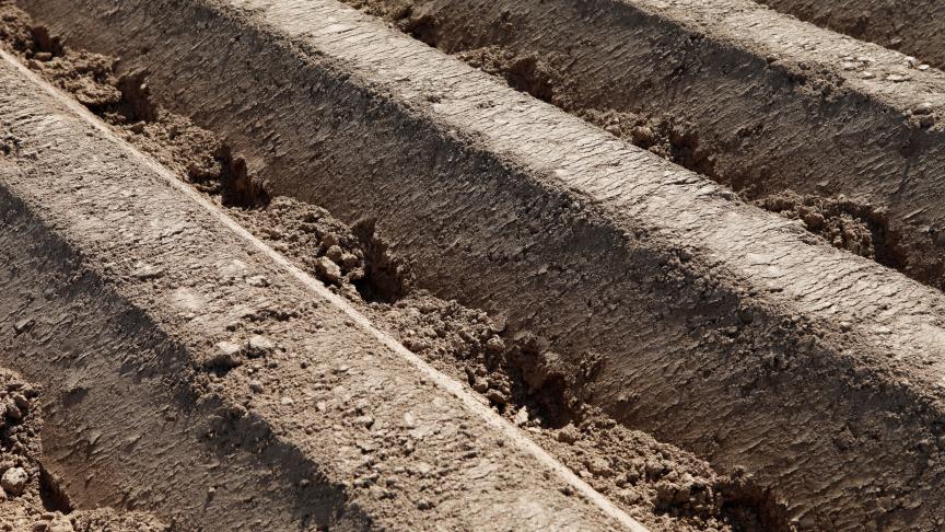 Le cloisonnement des interbuttes est très efficace notamment dans la lutte contre l’érosion en réduisant le ruissellement de l’eau de pluie.