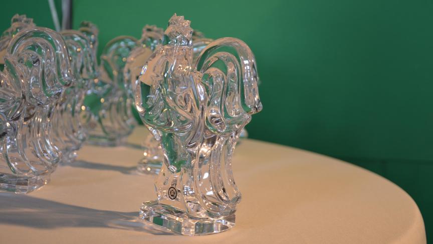 Les lauréats se verront remettre un Coq de Cristal durant la Foire de Libramont.